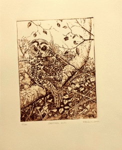 Spotted Owl Acrylic Plate Etching